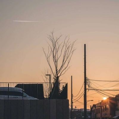 大发黄金版app下载app下载